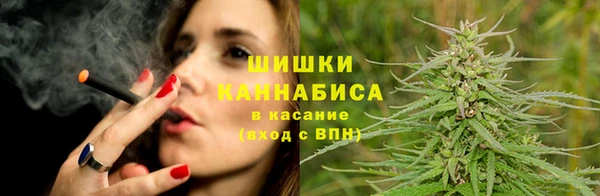 тгк Снежногорск