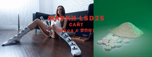 ECSTASY Кукмор