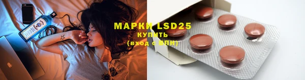 ECSTASY Кукмор