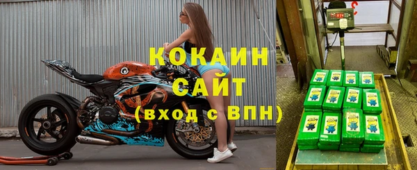 ECSTASY Кукмор