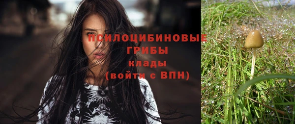 ECSTASY Кукмор
