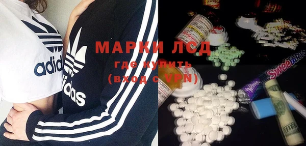 ECSTASY Кукмор
